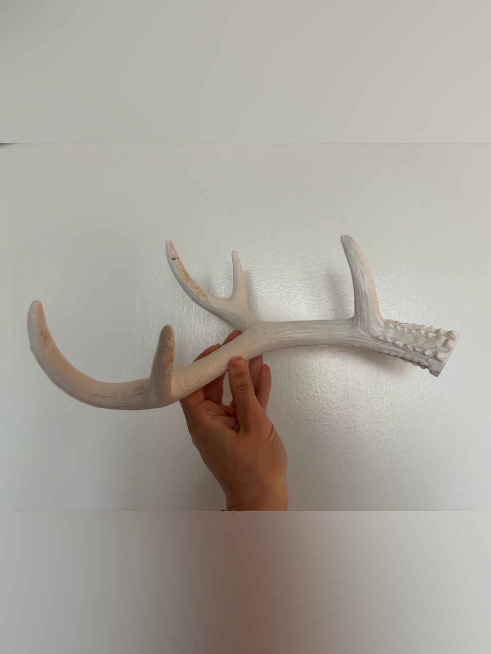 Decorative Wood White Antler Accent